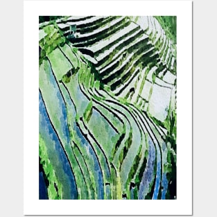 rice field Terrace Posters and Art